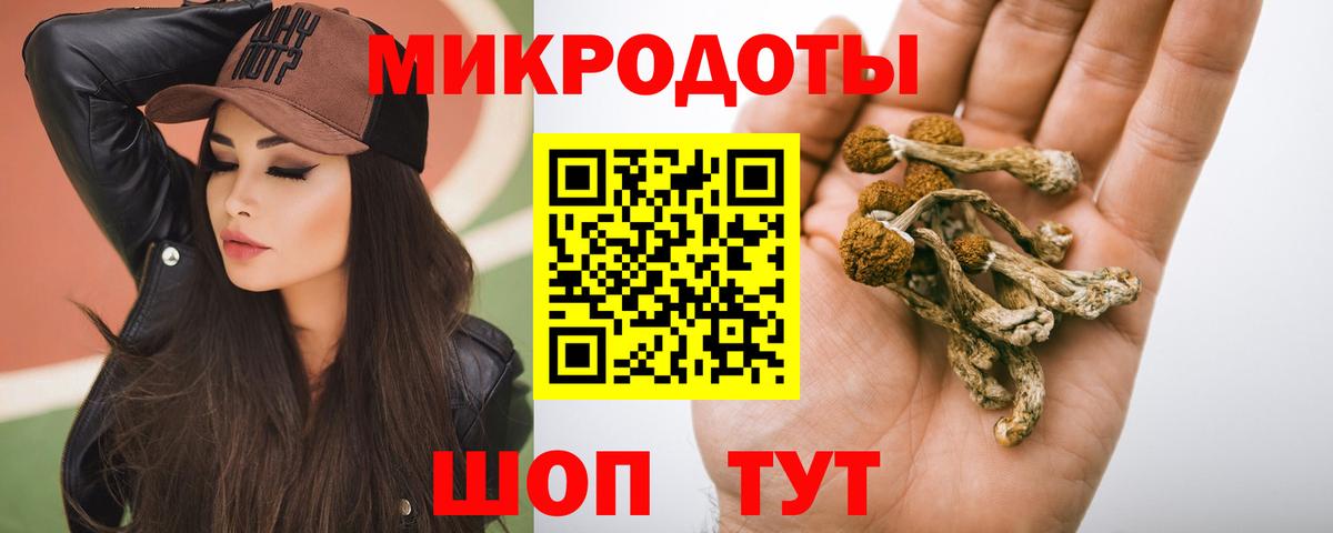 Архангельск  Псилоцибиновые грибы прущие грибы  Вход с VPN  Галлюциногенные грибы Psilocybe 